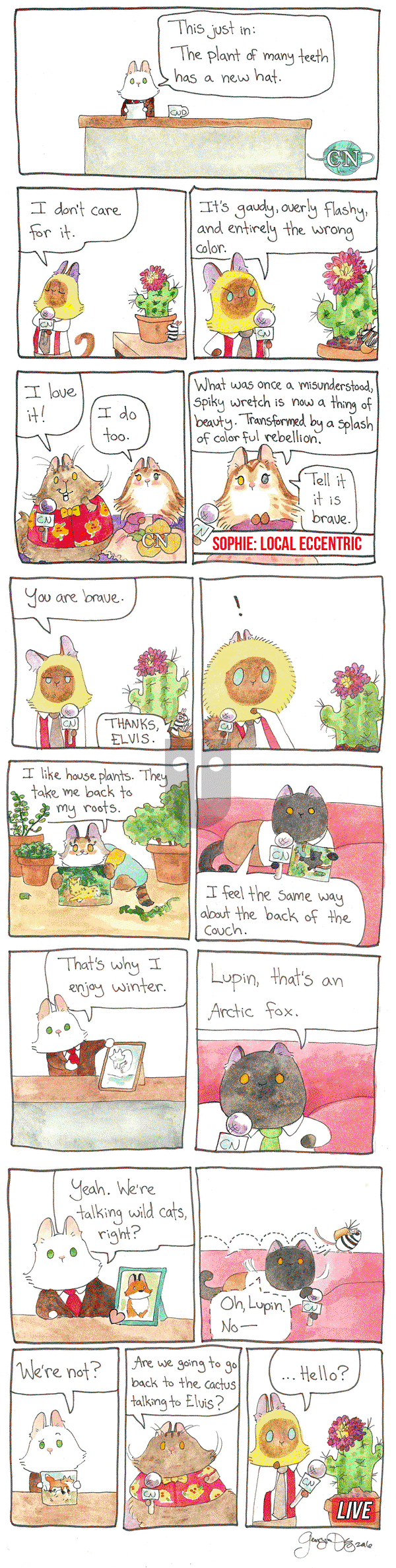 Breaking Cat News on Saturday February 25, 2017 Comic Strip