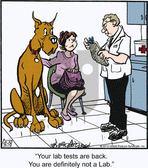 Marmaduke on Monday December 13, 2010 Comic Strip