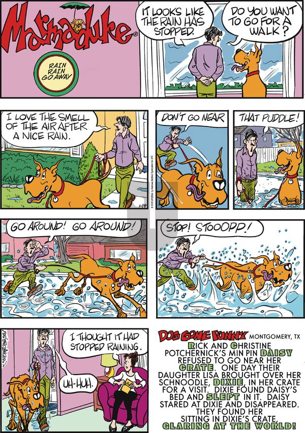 Marmaduke on Sunday January 19, 2020 Comic Strip