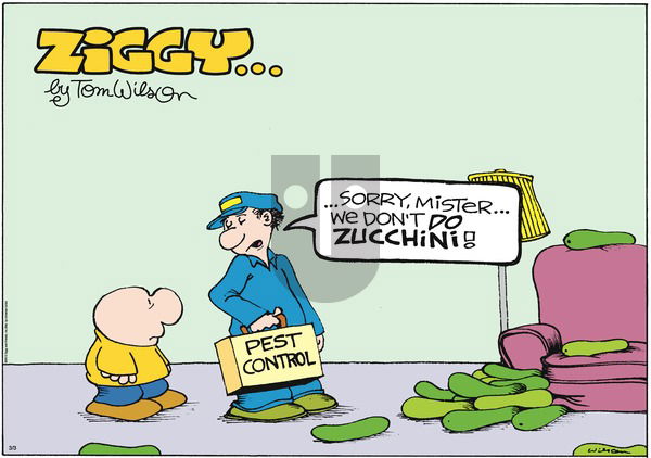 Ziggy on Sunday March 3, 2013 Comic Strip