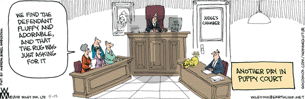 Non Sequitur on Saturday May 12, 2018 Comic Strip