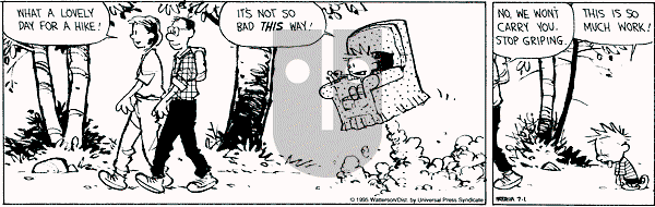 Calvin and Hobbes - Saturday July 1, 1995 Comic Strip