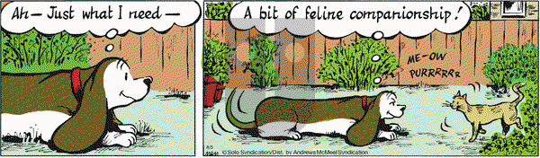 Fred Basset on Thursday August 5, 2021 Comic Strip