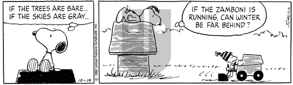 Peanuts on Monday October 19, 1992 Comic Strip