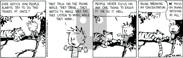 Calvin and Hobbes - Thursday August 24, 1995 Comic Strip