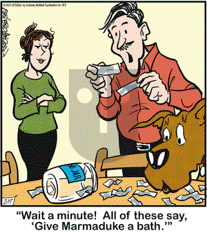 Marmaduke on Wednesday February 17, 2021 Comic Strip