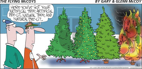 The Flying McCoys on Sunday December 10, 2017 Comic Strip