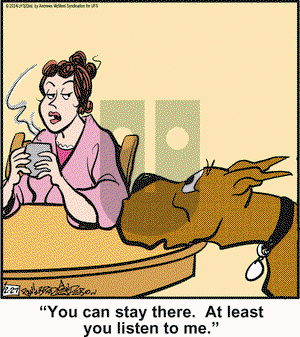 Marmaduke - Tuesday February 27, 2024 Comic Strip
