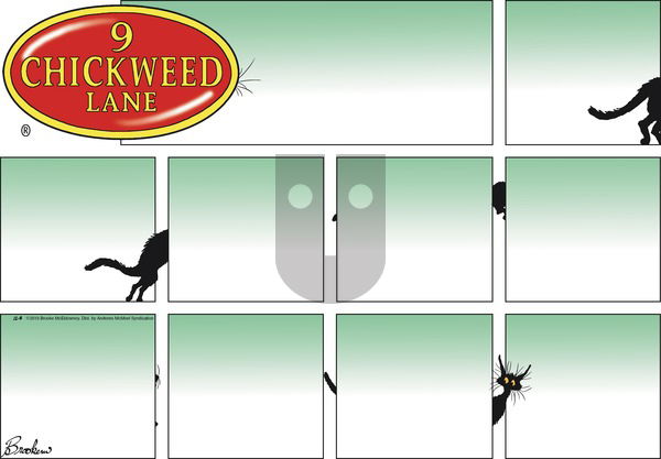 9 Chickweed Lane - Sunday December 8, 2019 Comic Strip