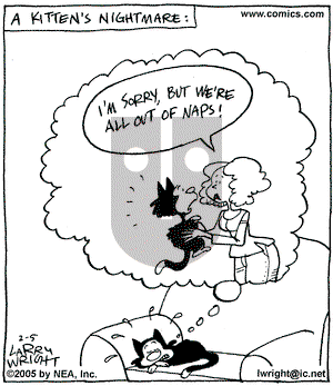 Kit 'N' Carlyle on Saturday February 5, 2005 Comic Strip