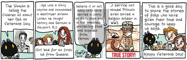 Breaking Cat News on Wednesday November 11, 2020 Comic Strip