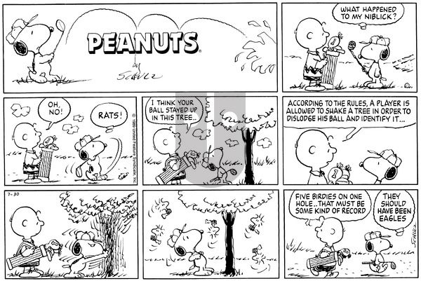 Peanuts on Sunday July 30, 1989 Comic Strip