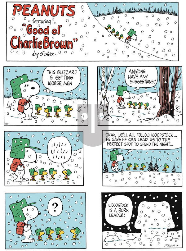 Peanuts on Sunday December 7, 2025 Comic Strip