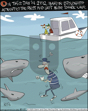 The Flying McCoys on Saturday May 17, 2025 Comic Strip
