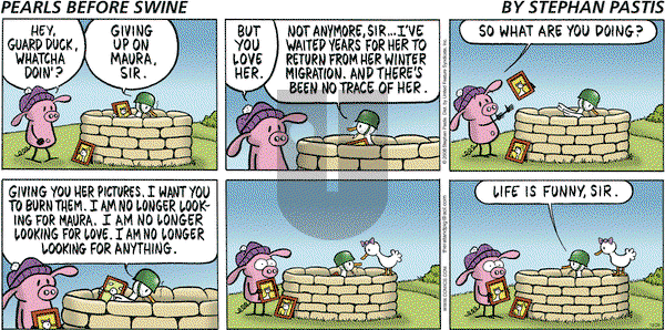 Pearls Before Swine on Sunday December 28, 2008 Comic Strip