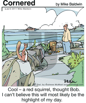 Cornered on Thursday August 29, 2019 Comic Strip