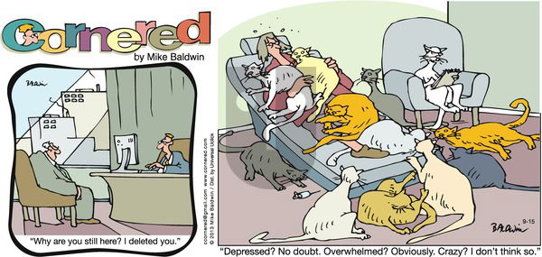 Cornered on Sunday September 15, 2013 Comic Strip