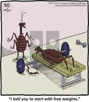 In the Bleachers on Thursday September 21, 2017 Comic Strip