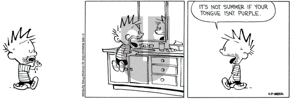 Calvin and Hobbes on Tuesday June 27, 1995 Comic Strip