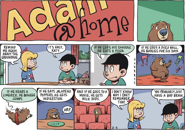 Adam@Home on Sunday February 2, 2020 Comic Strip