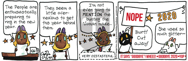 Breaking Cat News on Wednesday December 30, 2020 Comic Strip