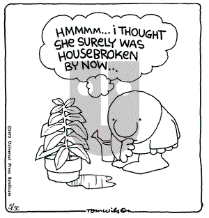 Ziggy on Friday May 30, 1975 Comic Strip