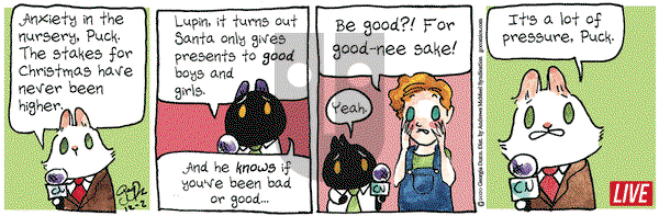 Breaking Cat News on Wednesday December 2, 2020 Comic Strip