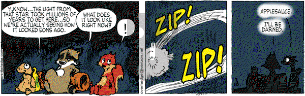Over the Hedge on Saturday August 28, 2010 Comic Strip