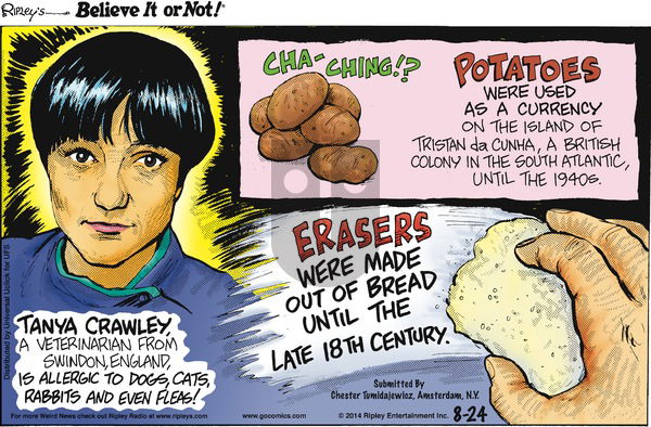 Ripley's Believe It or Not on Sunday August 24, 2014 Comic Strip