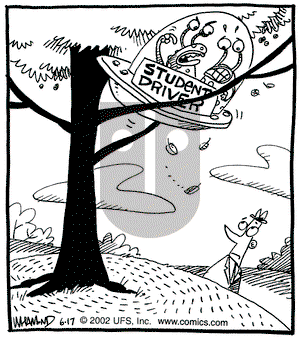 Reality Check on Monday June 17, 2002 Comic Strip