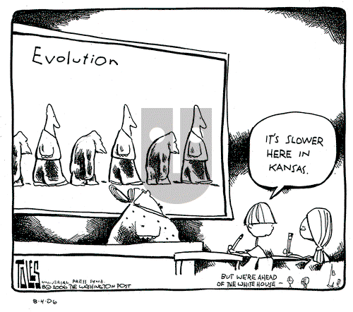Tom Toles on Friday August 4, 2006 Comic Strip