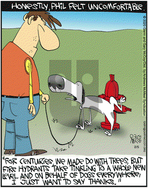 The Flying McCoys on Wednesday February 5, 2020 Comic Strip