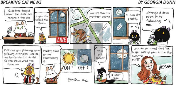 Breaking Cat News on Sunday July 16, 2017 Comic Strip