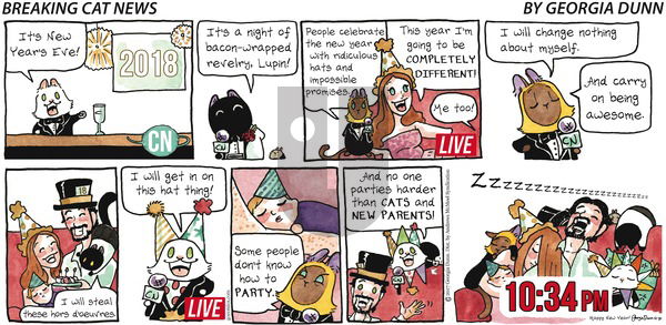 Breaking Cat News on Sunday December 31, 2017 Comic Strip