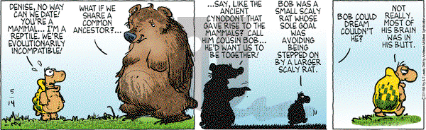 Over the Hedge on Monday May 14, 2018 Comic Strip