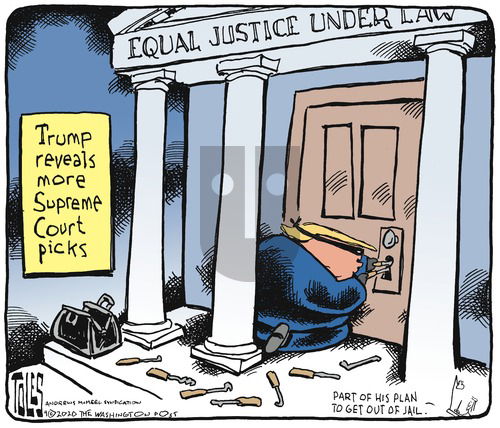 Tom Toles on Sunday September 13, 2020 Comic Strip