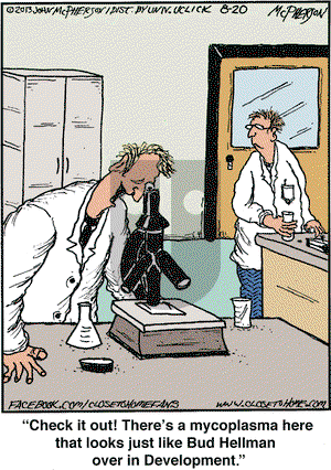 Close to Home on Tuesday August 20, 2013 Comic Strip