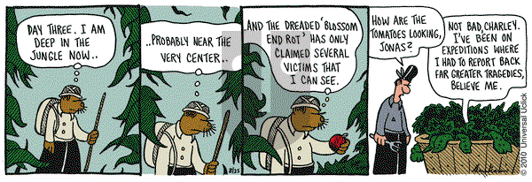 Overboard on Wednesday August 25, 2010 Comic Strip