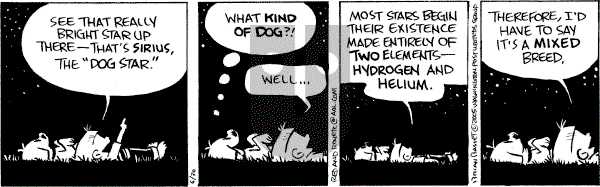 Red and Rover on Thursday June 30, 2005 Comic Strip