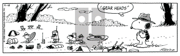 Peanuts on Wednesday September 18, 1996 Comic Strip