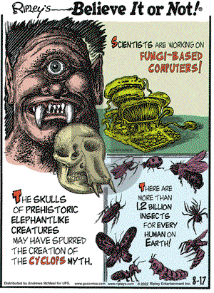 Ripley's Believe It or Not - Wednesday August 17, 2022 Comic Strip