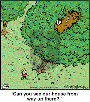 Marmaduke on Monday November 15, 2021 Comic Strip