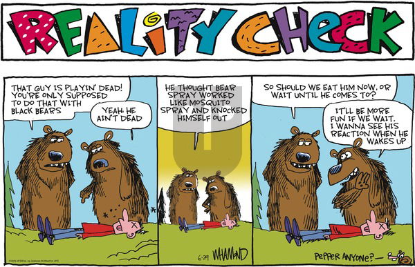 Reality Check on 2025-06-29 Comic Strip