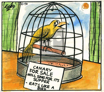 Today's Szep on Saturday October 22, 2022 Comic Strip