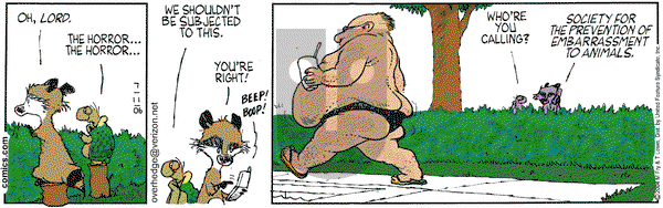 Over the Hedge on Tuesday July 11, 2006 Comic Strip