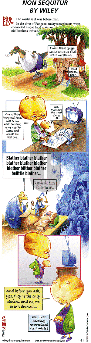 Non Sequitur on Sunday January 21, 2001 Comic Strip