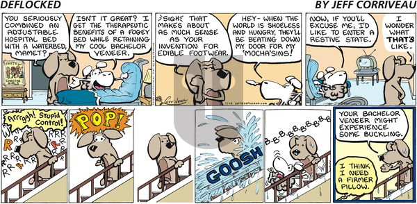 DeFlocked on Sunday July 19, 2009 Comic Strip