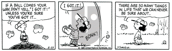 Peanuts on Saturday May 27, 1989 Comic Strip