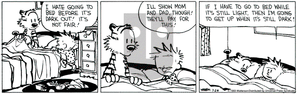 Calvin and Hobbes on Saturday July 24, 1993 Comic Strip
