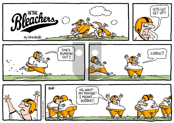 In the Bleachers on Sunday November 3, 1996 Comic Strip